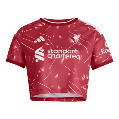 Adidas Originals (wmns) Adidas Liverpool Fc 26/27 Home Jersey Crop Asia Sizing 'active Maroon' In Red