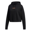 Adidas Originals (wmns) Adidas Neo C+ Fleece Hdy Sports Pullover Black In Blue