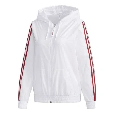 Adidas Originals (wmns) Adidas Neo Mcky&mnn Windbreaker Jacket White
