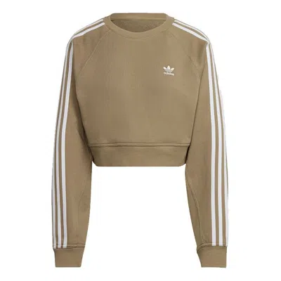 Adidas Originals (wmns) Adidas Original University T Cropped Sweatshirts 'green White' In Neutral