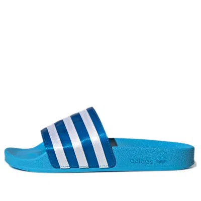 Adidas Originals (wmns)  Adilette 'blue'