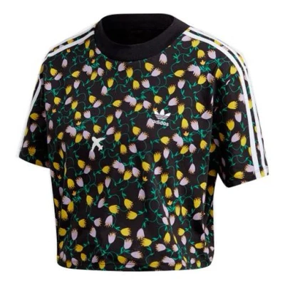 Adidas Originals (wmns)  Cropped Aop Printing Black In Multi