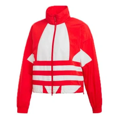 Adidas Originals (wmns)  Lrg Logo Tt Large Logo Sports Jacket Red