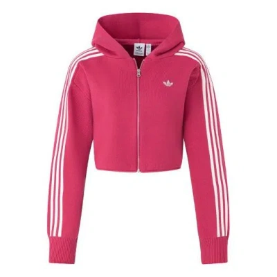 Adidas Originals (wmns)  Premium Zipper Hoodie Asia Sizing 'pink'