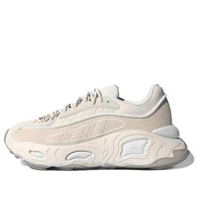 Adidas Originals (wmns) Adidas Oznova 'white Ecru Tint'
