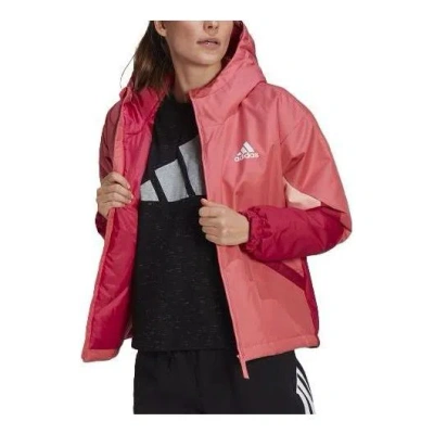 Adidas Originals (wmns) Adidas Performance  Back To Sport Insulated Jacket Asia Sizing 'red'