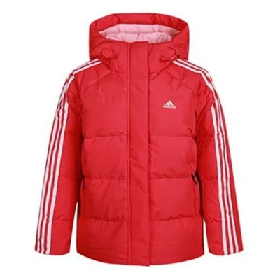 Adidas Originals (wmns) Adidas Puff Hooded Windproof Down Jacket Pink In Red
