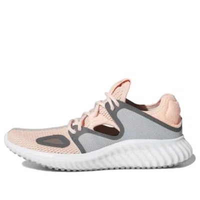 Adidas Originals (wmns) Adidas Run Lux Clima Shoes Pink