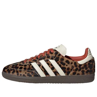 Adidas Originals Celine Low Lace-up Sneakers With Triomphe In Animal Print