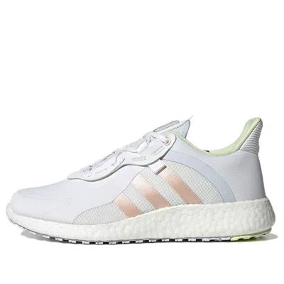 Adidas Originals (wmns) Adidas Shoes 'white  Blue'