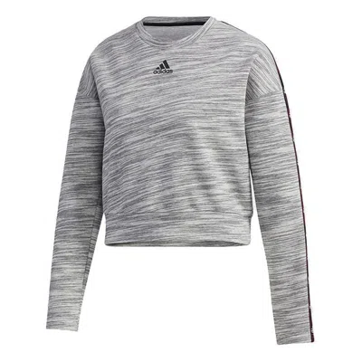 Adidas Originals (wmns) Adidas Short Round Turtleneck Jersey Light Grey In Gray