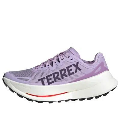 Adidas Originals (wmns) Adidas Terrex Agravic Speed Ultra Trail 'powder Plum Aurora Plum Lucid Red' In Multi