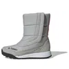 Adidas Originals (wmns) Adidas Terrex Choleah Boot Cw 'silver Grey'