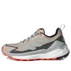 Adidas Originals (wmns) Adidas Terrex Free Hiker 2.0 Low Gore-tex 'wonder Beige Grey' In Neutral