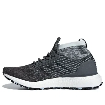 Adidas Originals (wmns) Adidas Ultraboost All Terrain 'grey Carbon' In Gray