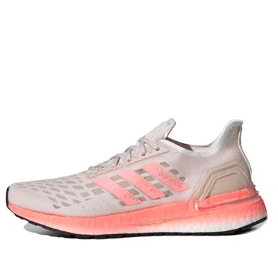 Adidas Originals (wmns) Adidas Ultraboost Pb 'echo Pink' In Multi