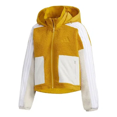 Adidas Originals (wmns) Adidas Urban Boa Short Knitted Jacket 'white Tan' In Yellow