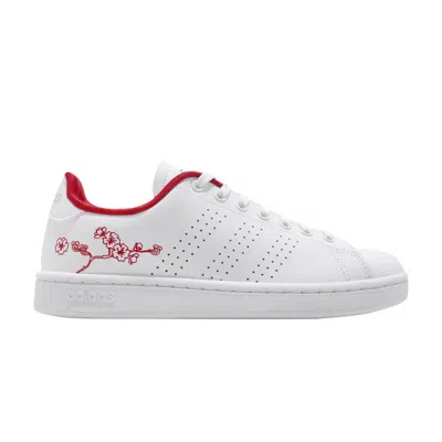 Pre-owned Adidas Originals Wmns Advantage 'floral' In White