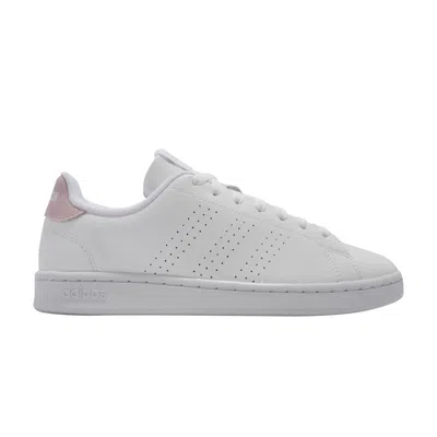 Pre-owned Adidas Originals Wmns Advantage 'white Aero Pink'