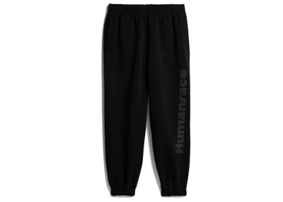 Pre-owned Adidas Originals X Pharrell Williams Bas Pant In Black