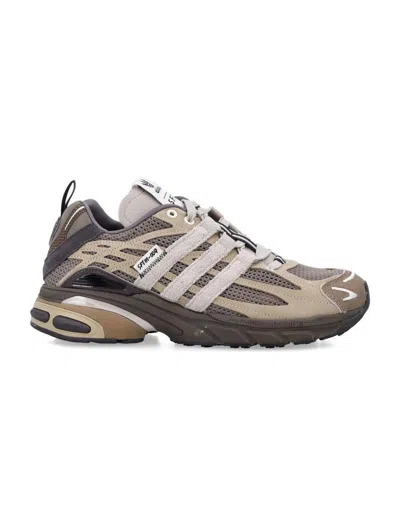 Adidas Originals X Song For The Mute Adistar Cushion Sftm In Gold