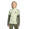 Adidas Originals Big Boys And Girls Green Real Madrid 2025/26 Training Aeroready Quarter-zip Pullover Sweatshirt In Multi