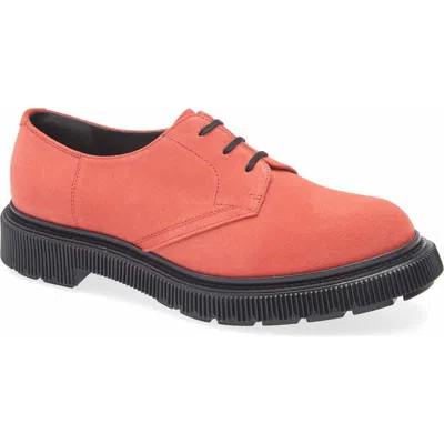 Adieu Plain Toe Derby In Poppy