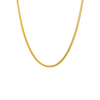 Adina Eden Solid Snake Choker Necklace In Gold
