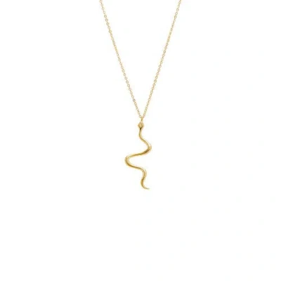 Adina Eden Solid Snake Pendant Necklace In Gold