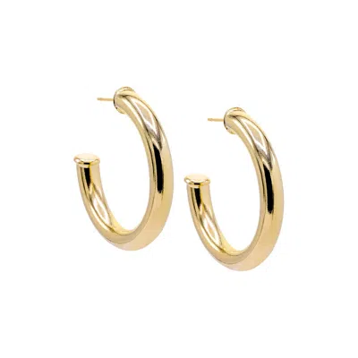 Adina Eden Thick Hollow Hoop Earring In Gold