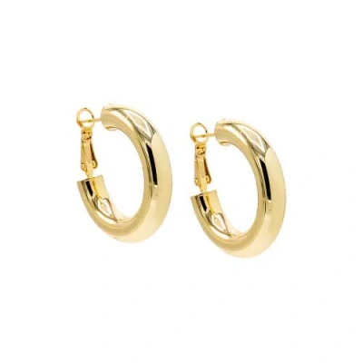 Adina Eden Wide Rounded Hollow Hoop Earring In Gold