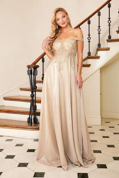 Adora Design Adora 3097 Prom Long A Line Glitter Applique Formal Dress In Gold
