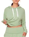 Adore Me Jilianne Women's Plus-size Cropped Hoodie In Multi