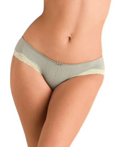 Adore Me Lilou Hipster Panties In Gray