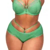 Adore Me Marca Hipster Panties In Medium Green