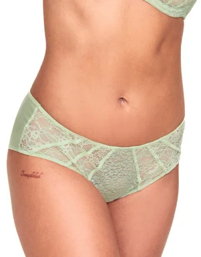 Adore Me Roxana Hipster Panties In Multi