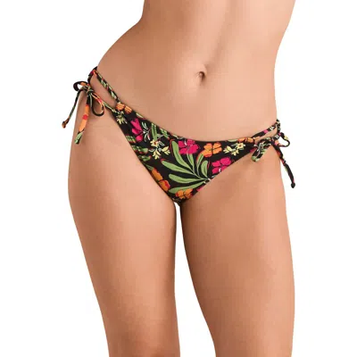 Adore Me Tatiana Swimwear Bikini Bottom In Multi