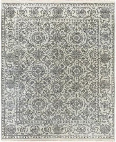 Adorn Hand Woven Rugs , Indian Oak M6168 8'3"x9'10" Area Rug