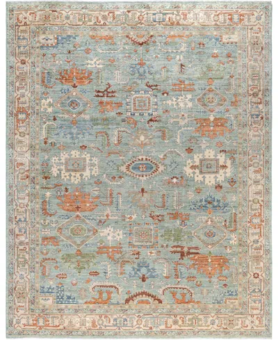 Adorn Hand Woven Rugs Serapi M0103-94 9'3"x11'10" Area Rug In Green
