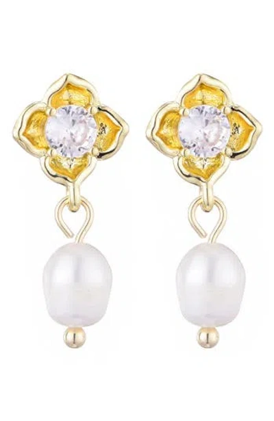 Adornia Crystal & Freshwater Pearl Drop Earrings In White