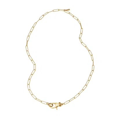 Adornia Lock Paper Clip Chain Necklace Gold In Yellow