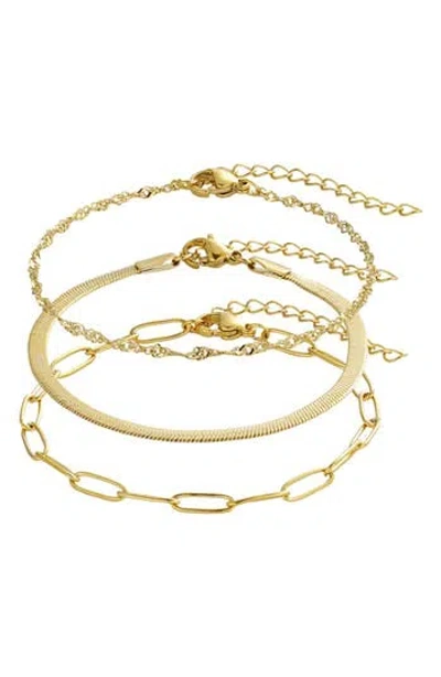 Adornia Set Of 3 Assorted Chain Bracelets In Neutral
