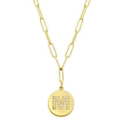 Adornia Tarnish Resistant 14k Gold Plated Pave Crystal Initial Disc Paperclip Necklace