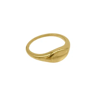 Adornia Tarnish Resistant 14k Gold Plated Signet Ring
