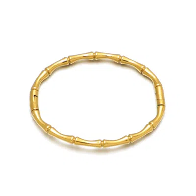 Adornia Tarnish Resistant 18k Gold Plated Invisble Clasp Bamboo Cuff