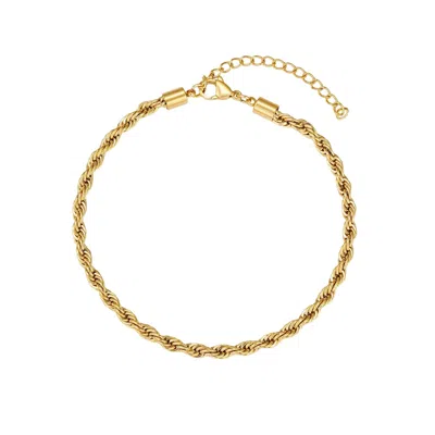 Adornia Tarnish Resistant 18k Gold Plated Rope Chain Anklet