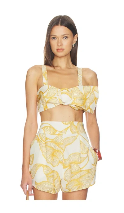 Adriana Degreas Foliage Bralette Top In Neutral