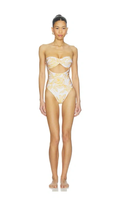 Adriana Degreas Foliage Cut Out Swimsuit In Multi