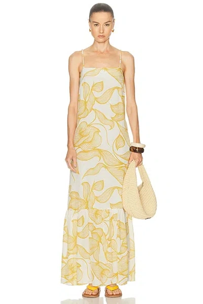 Adriana Degreas Foliage Maxi Dress In Multi