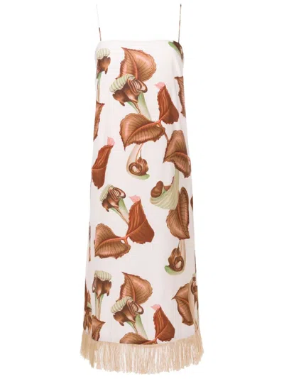 Adriana Degreas Leaf-print Silk Dress In Neutrals